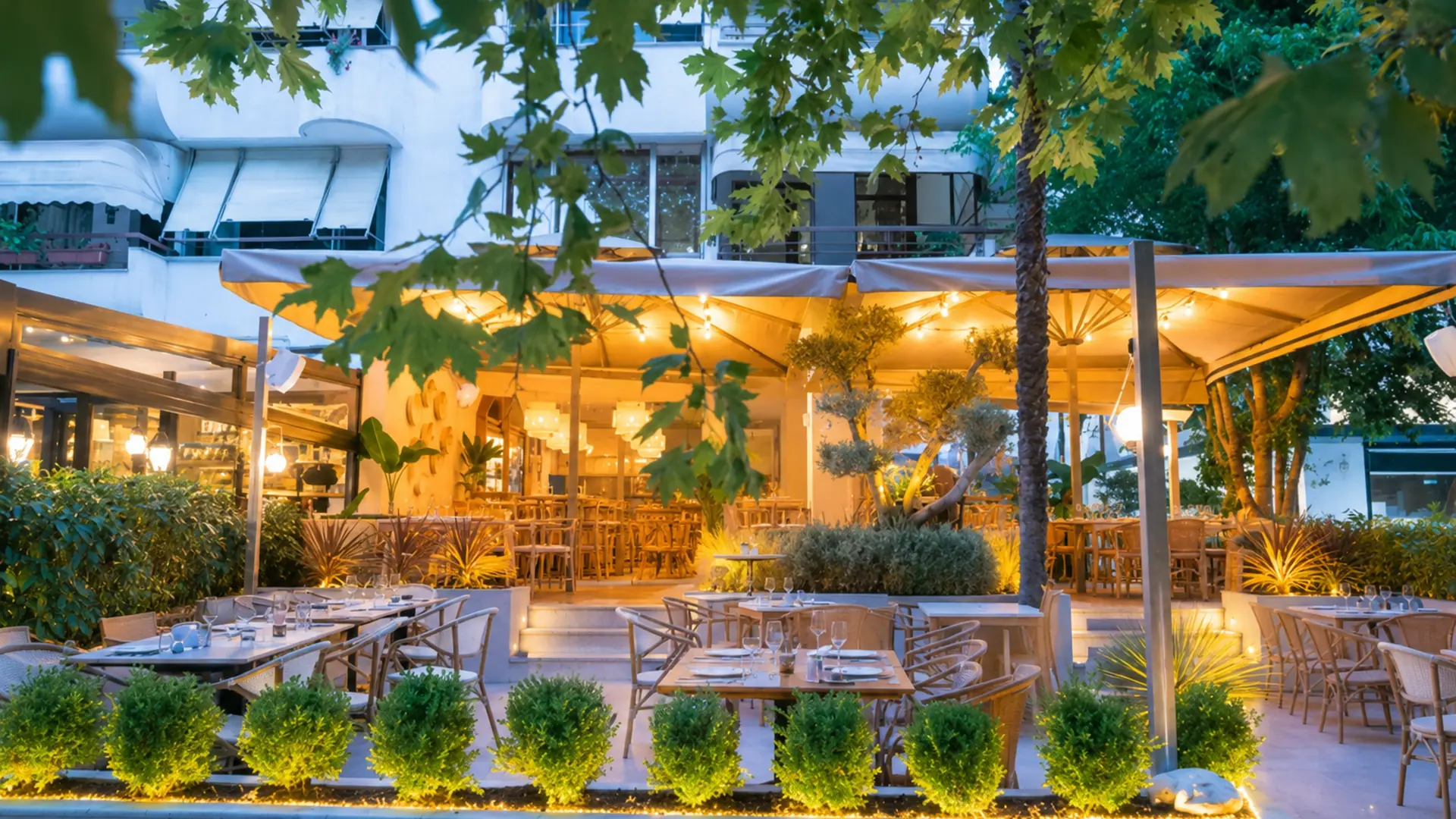 Allen Kitchen & Cocktail