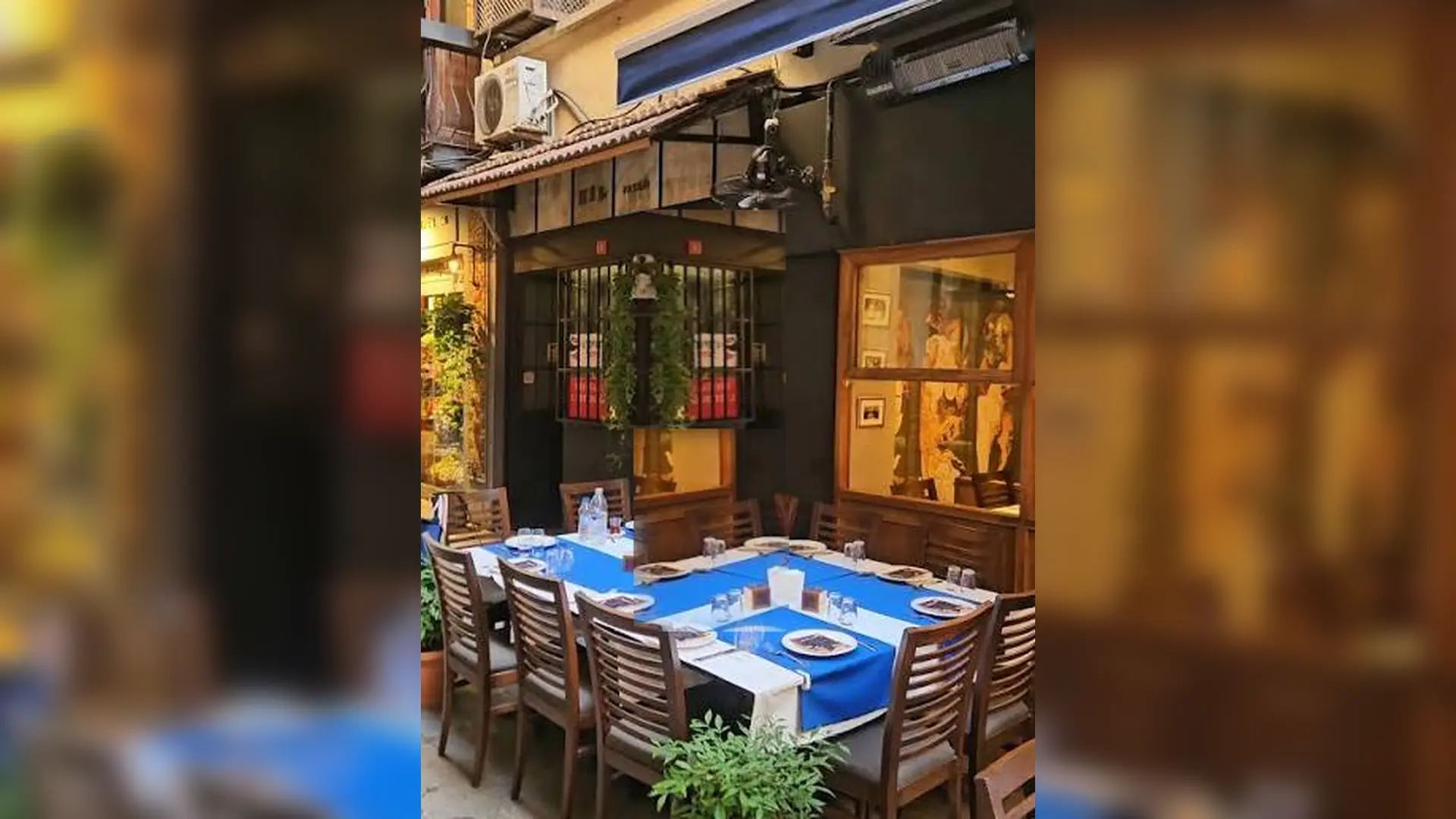 Aşina Asmalı