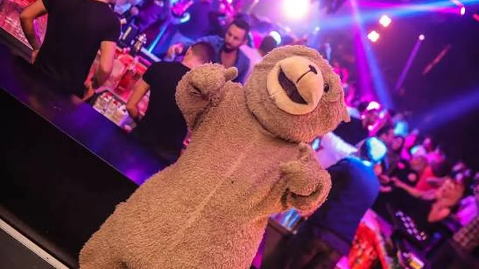 Teddy Club İstanbul: Galeriebild 2